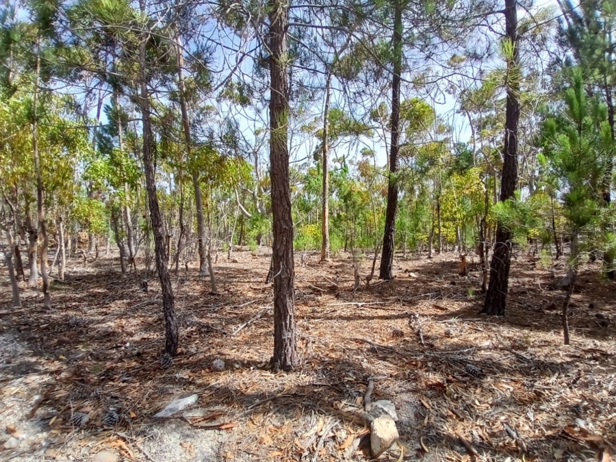 0 Bedroom Property for Sale in Napier Western Cape